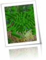 /album/novidades-/banneranic-png/